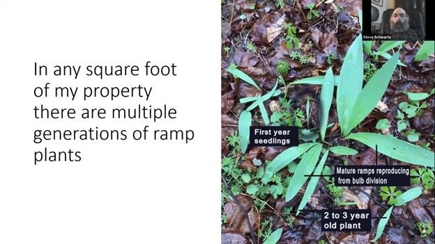 Ramp